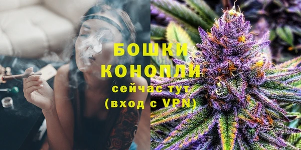 соль ск Вяземский