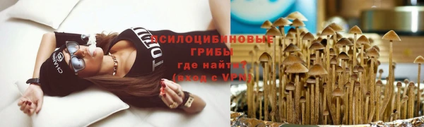 соль ск Вяземский