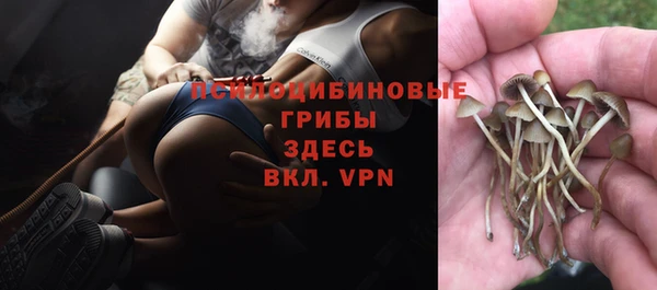 apvp Вязники