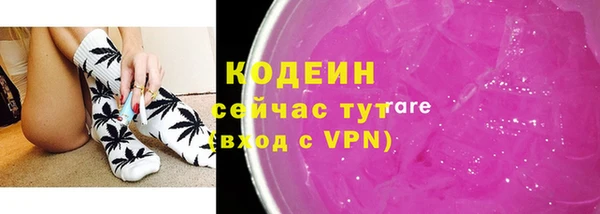 соль ск Вяземский