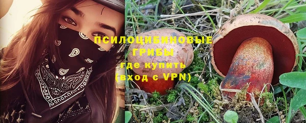соль ск Вяземский