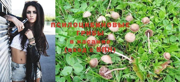 apvp Вязники