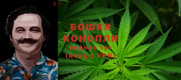 соль ск Вяземский